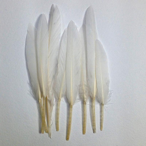 AussieSuperStore Art & Craft Essentials Craft Feathers White Craft Feathers White | Artificial Feathers | Synthetic Feathers FEA-505